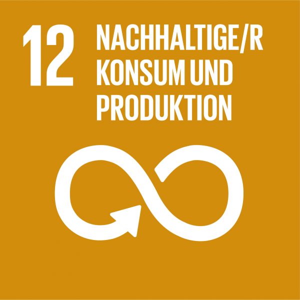 SDG Ziel #12