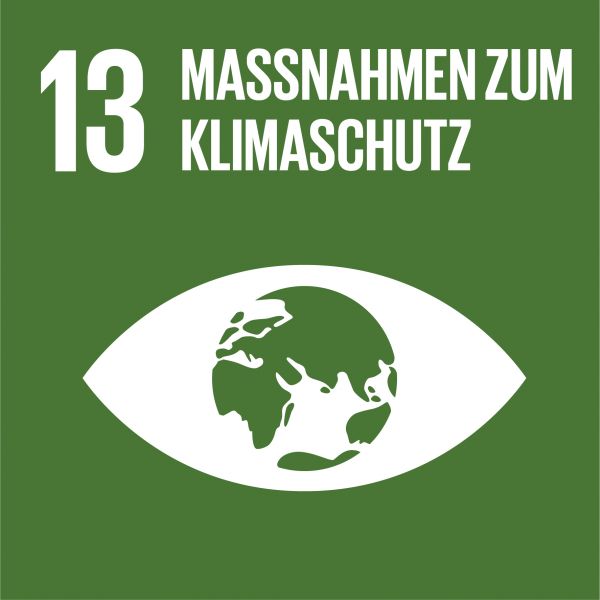 SDG Ziel #13 Klima